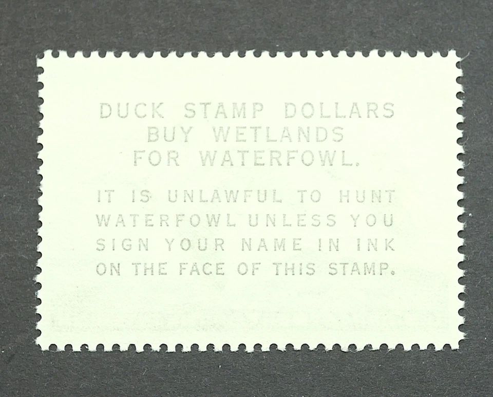 RW32 Federal Duck Hunting Stamps Certified Grade F 70 MNH, OG, 1965 - Image 3 of 4