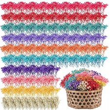 200 PCS Mini Dried Baby's Breath Flowers 10 Colors Gypsophila Mixed Craft