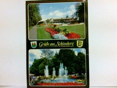 Mehrbild AK Grüße aus Schömberg im Schwarzwald.Gebäudeansicht, Parkanlagen, Spri