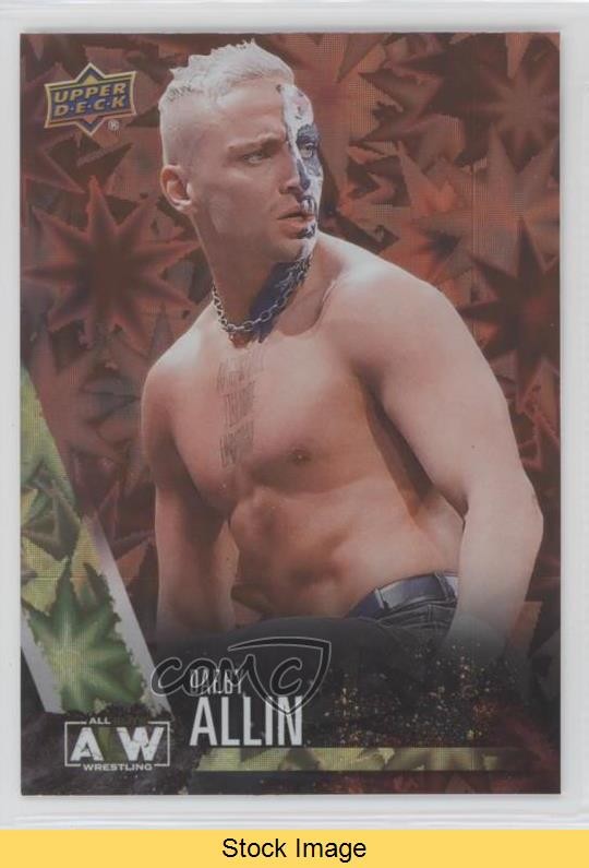 2021 Upper Deck AEW All Elite Wrestling Dynamite Darby Allin Rookie RC READ 2zq