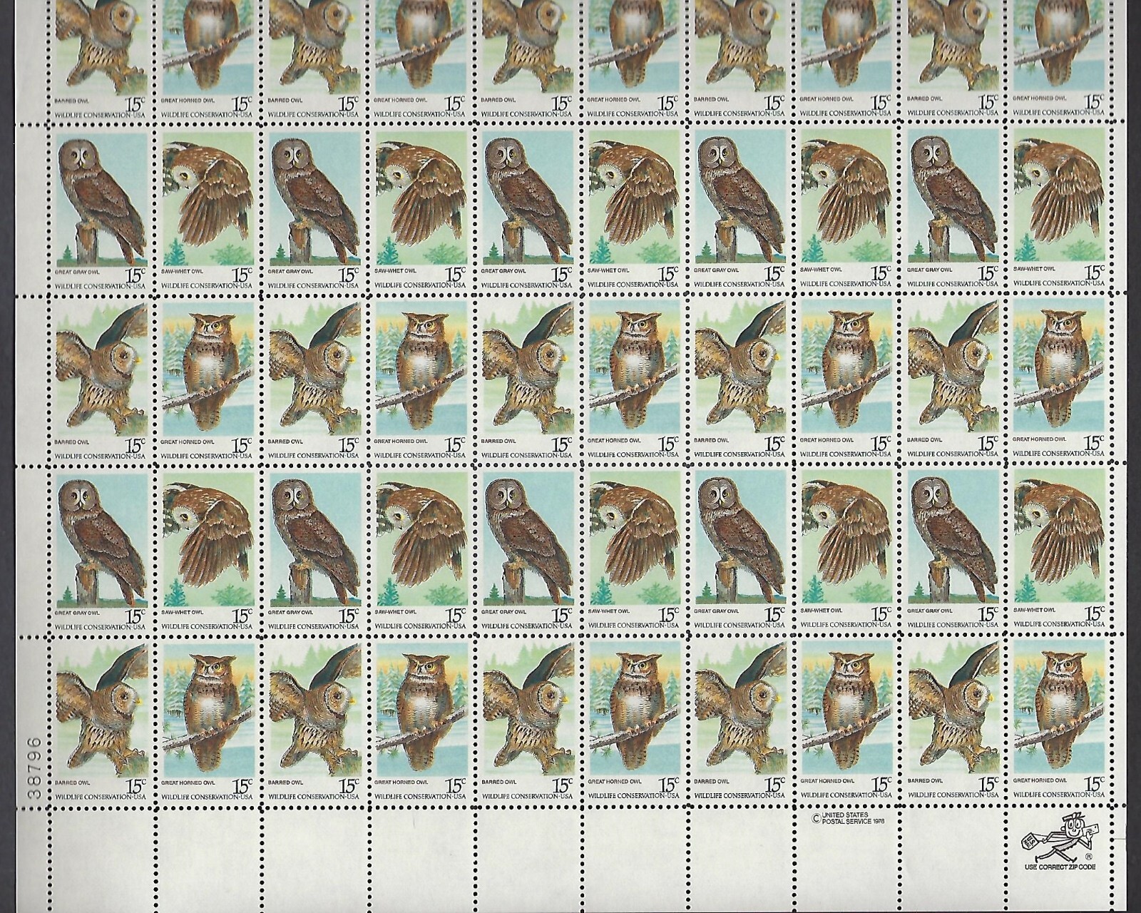 Picture 4 of 4