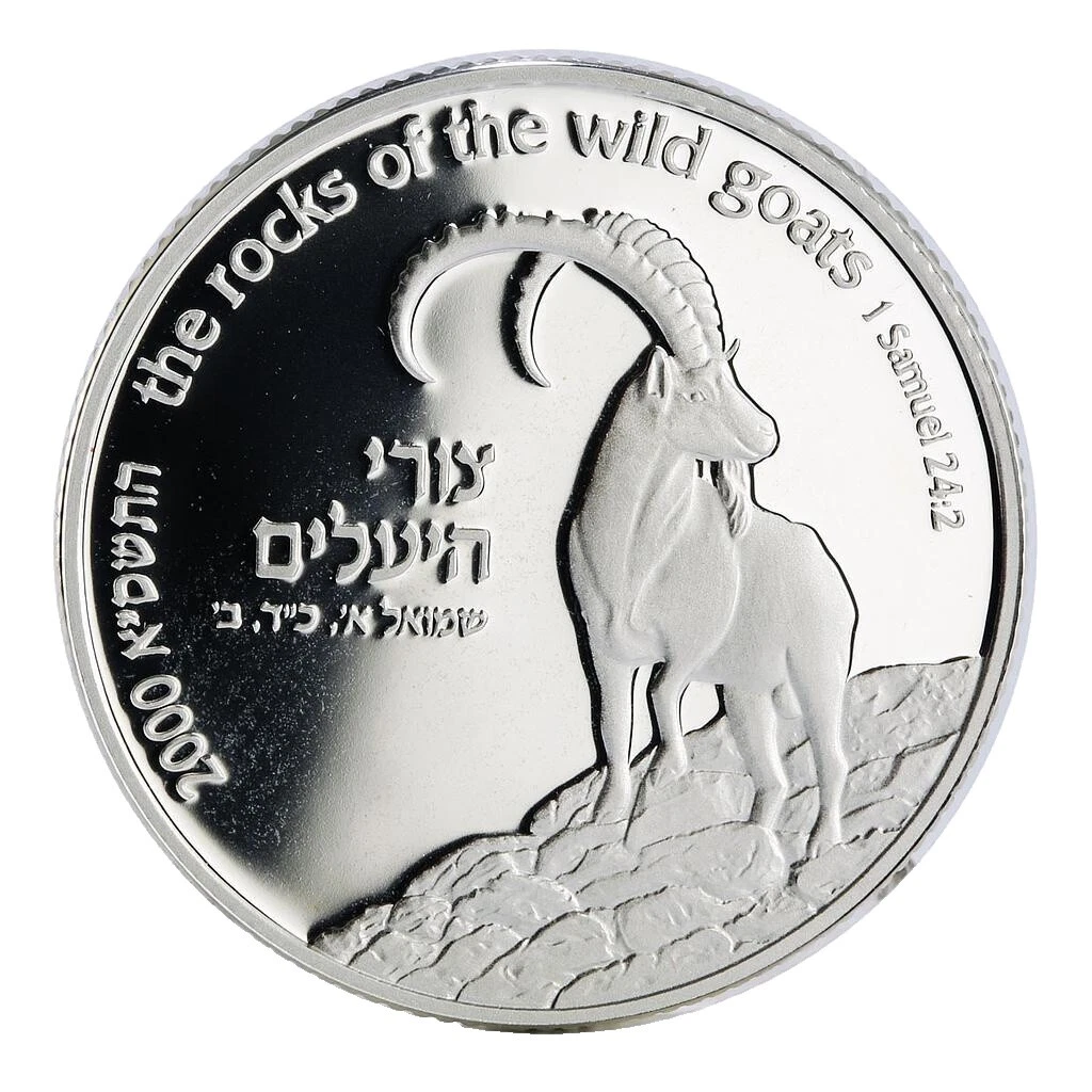 Uncertified Silver Middle Eastern Coins