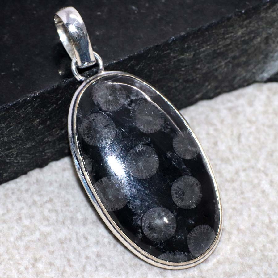 Black Fossil Coral 925 Silver Plated Pendant 2