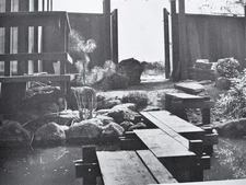 1968 Mid Century Modern JAPANESE GARDENS Landscape Architecture Outdoor Living