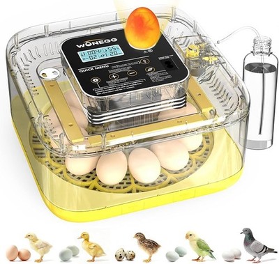 EGG INCUBATOR 最大12個用 自動湿度管理 12 Eggs Incubator with Automatic Egg Turning Temperature