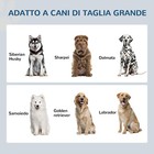 Foto 3 di 6