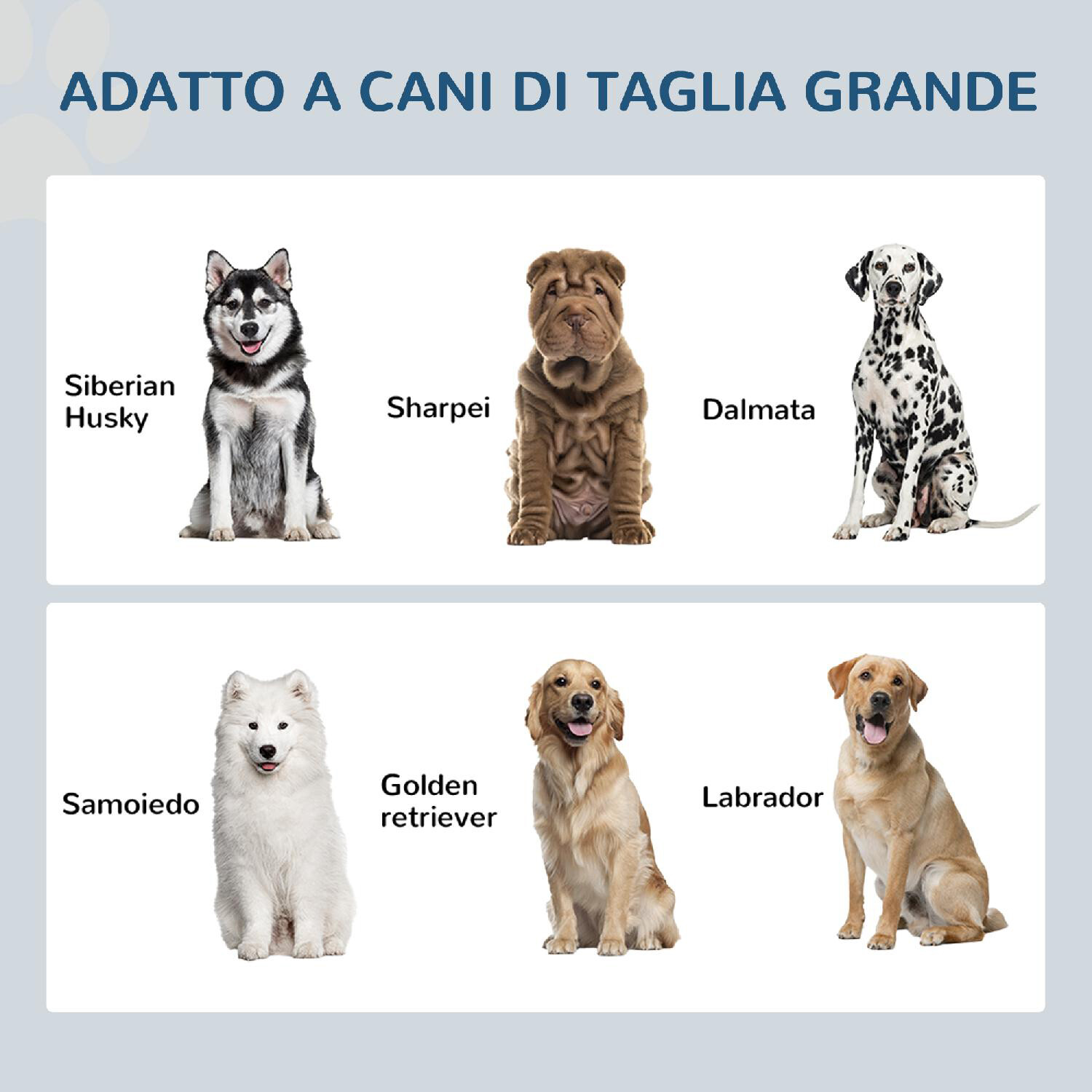 Foto 3 di 6