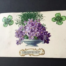 Old postcard 1910 plant additions chromo violet old postcard