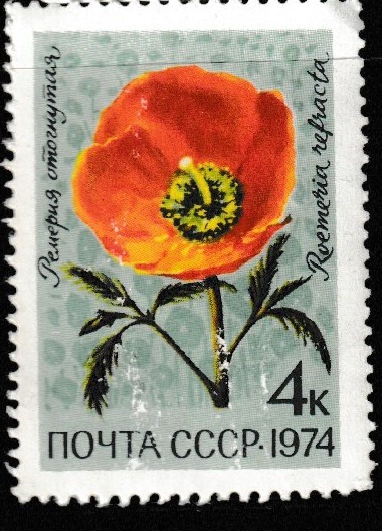 CCCP STAMP MNH Commemorative MINT unused WM0525 | eBay