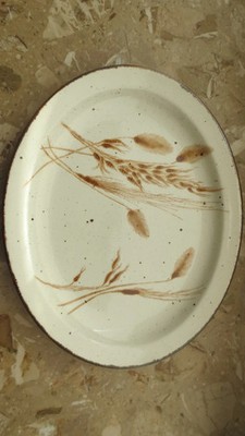 Fleisch/Gemüseplatte oval 30 x 24,5 cm - Midwinter Stonehenge Wild Oats