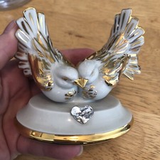 Bellissime colombe amore