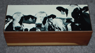 #4834 COWS KEEPSAKE JEWELRY WOOD CEDAR BOX 3.5'' X 8''