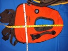 Picture 8 of 13