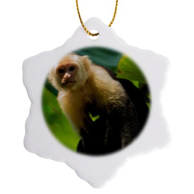 3dRose, Costa Rica, monkey, spider monkey, tree, Ornament