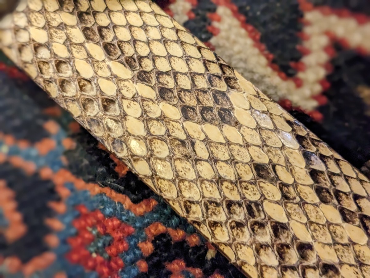 Vero Pitone Italy Snake Skin Wmns 1.5