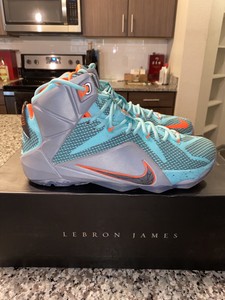 lebron 12 south beach
