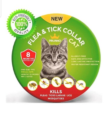 big cat climbing frame