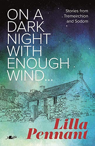 On a Dark Night with Enough Wind - Lilla Pennant