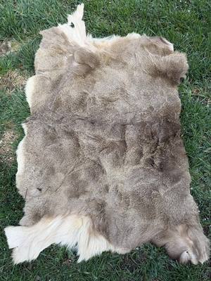 #ad Black Tail Deer Hide Leather Hair On Native American Brain Tanned Hide Craft $220.00