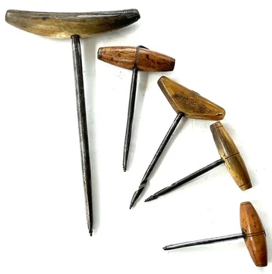 FORET A BOIS EN CORNE PERCETTE HOLZBOHRER IN GEBOHRTEM HORN WOOD DRILL - Photo 1/4