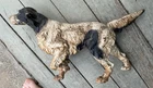 Antique Cast Iron Hubley Setter Pointer Dog Door Stop Original Paint 14.5"