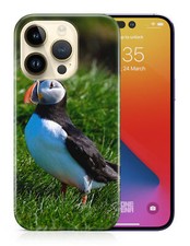 CASE COVER FOR APPLE IPHONE CUTE ATLANTIC PUFFIN BIRD 2