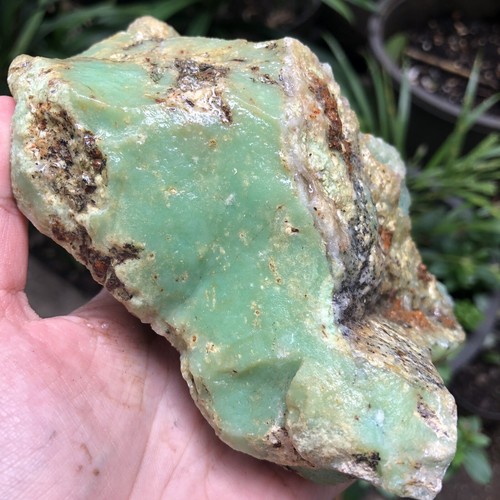 977G Natural Rough 100% Chrysoprase Light Green indonesia Mineral Specimen - Picture 5 of 11