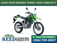 2021 Kawasaki KLX300