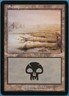 Swamp (Arena 2003) Promo HEAVILY PLD Special MAGIC CARD (ID# 415889) ABUGames