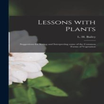 Lessons With Plants Suggestions for Seeing and Interpreting Some