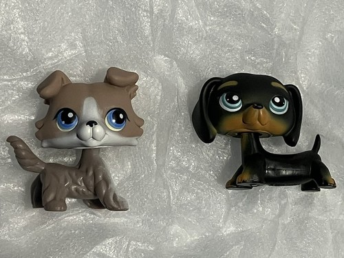 Authentic Littlest Pet Shop #67 Gray collie dog - Jeux & Jouets