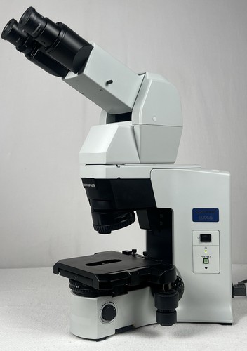 Olympus BX45TF Microscope with U-TTBI Ergonomic Tilting Telescoping ...