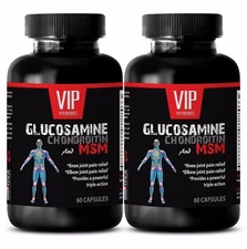 Wellness herbal kids - GLUCOSAMINE & MSM COMPLEX 3232MG 2B - msm supplement