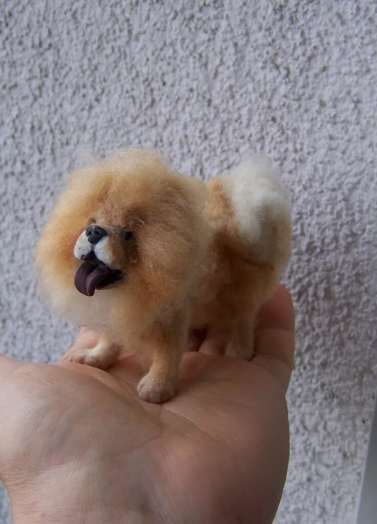 Small chow dog 2025