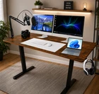 44''/55" Adjustable Electric Desk Computer Home Office Table Power Outlet