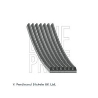 Keilrippenriemen Blue Print AD07R2443 FüR Nissan Infiniti, Motorseitig