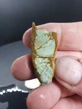 Woodlands Station Variscite Slab Western Australia
