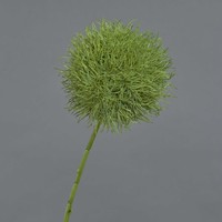 artplants Dekoblume Allium Glorf, GrüN, 75Cm