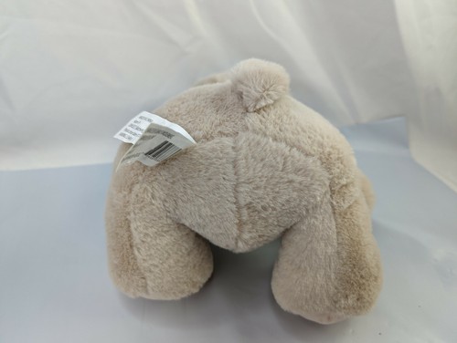 Kellytoy Tan Bear Plush 10 Inch Rattle 2020 Stuffed Animal Toy - Picture 5 of 7