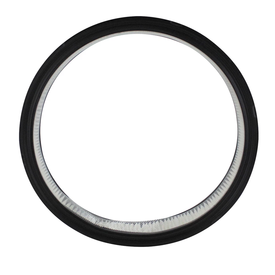 Filtro de aire WIX 42099 para chasis comercial Cadillac Calais Eldorado Fleetwood Foto 4 de 4