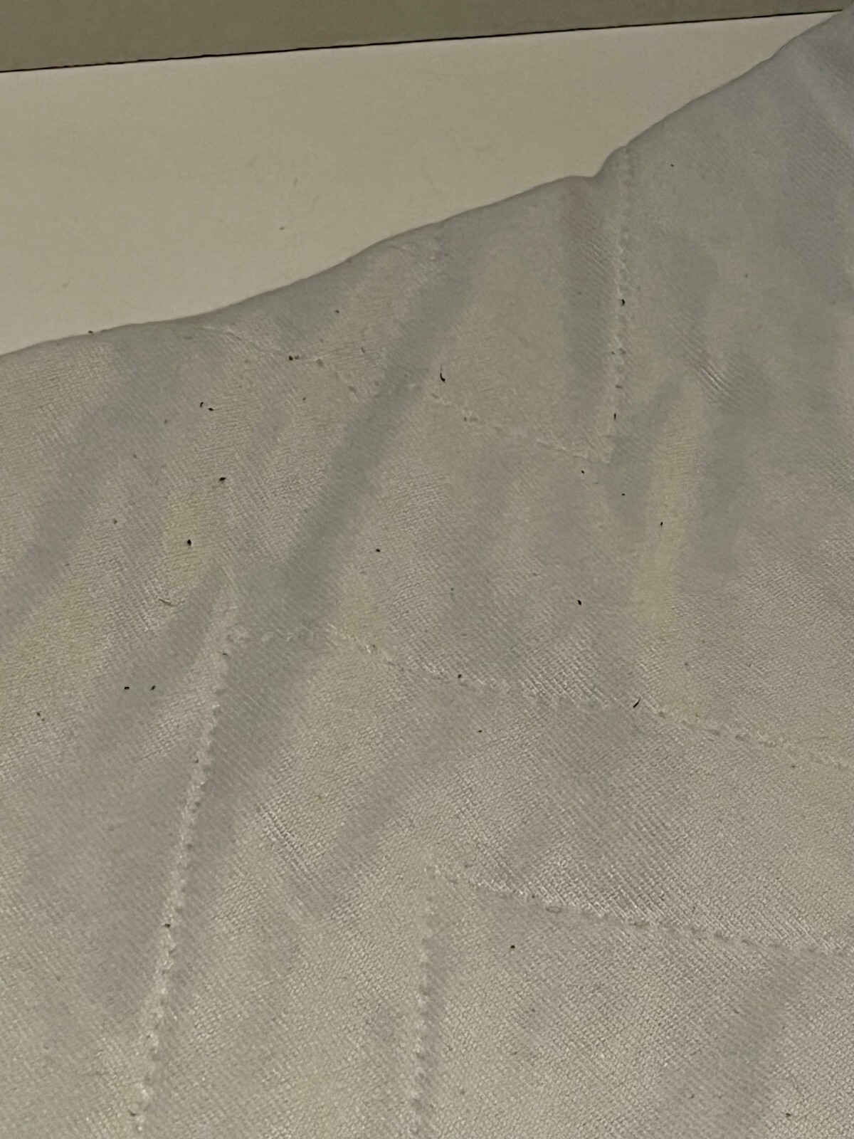 Twin XL Mattress Pad 39"x80" +13" Falak Tayyeb Platinum Government