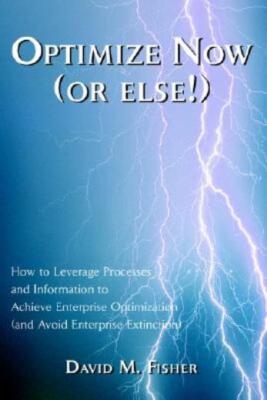 Optimize Now (Or Else!): How To Leverage Processes And Information To ...