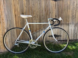 Davidson Impulse 54cm Campagnolo C Record
