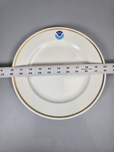 Vintage NOAA Mayer China by Interface USA 10" Dinner Plate w/ Gold Rim #475 - Picture 5 of 5