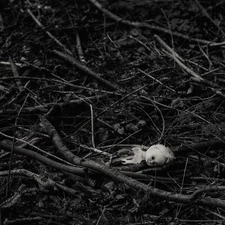 Limited Edition Signed Fine Art Landscape Print - Doll in Lorica, Italy - 34x34