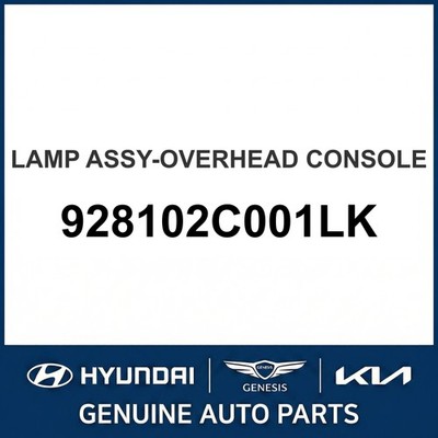 2001-2006 Hyundai Tiburon Lampenbaugruppe - Overhead Konsole OEM Neu 928102C0...