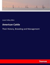 American Cattle Lewis Falley Allen