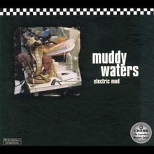 Electric Mud von Waters,Muddy | CD | Zustand sehr gut