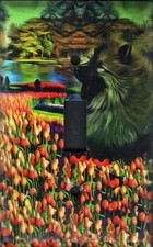 Keeshond Single Toggle light switch plate, made in USA