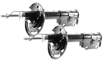 2x Gasdruck Stoßdämpfer Vorne Rechts+Links GH-353283H/V